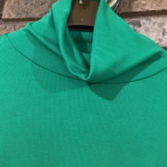 Aritzia⭐️Freshman turtleneck♥️EUC - Picture 4 of 8